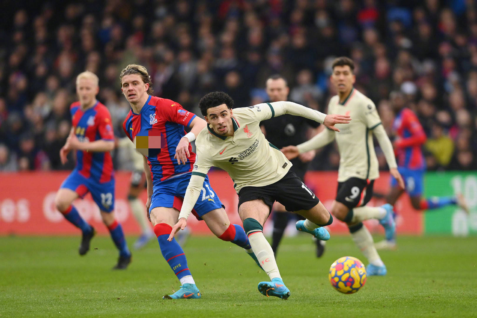 划奠定了坚 划奠定了坚